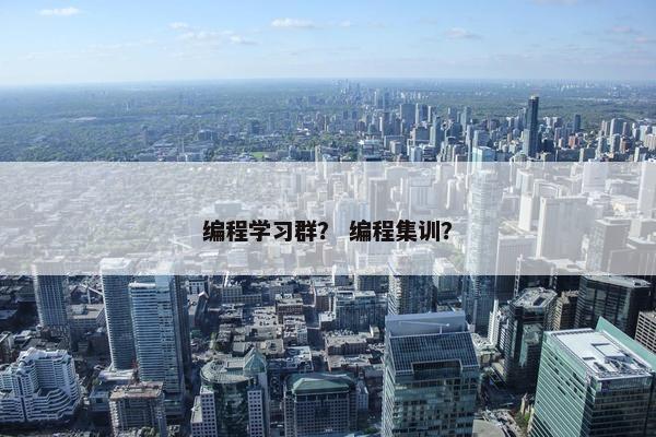 编程学习群？ 编程集训？