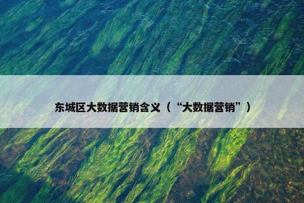 东城区大数据营销含义（“大数据营销”）