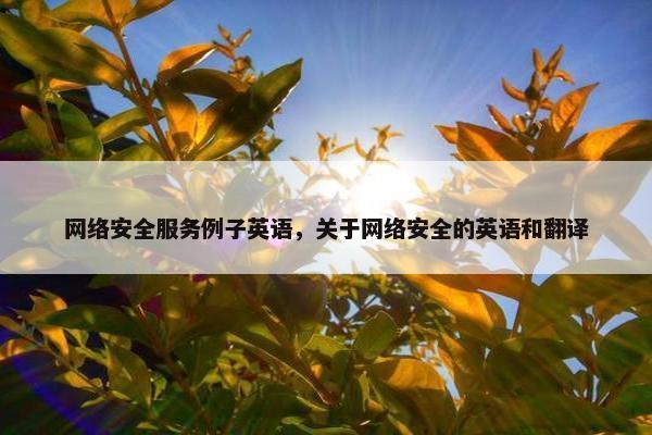 网络安全服务例子英语，关于网络安全的英语和翻译