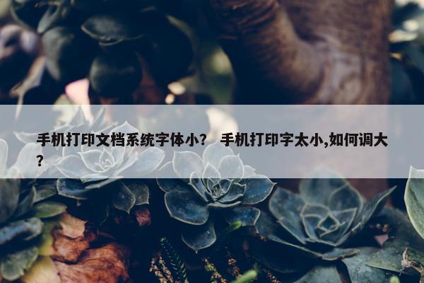 手机打印文档系统字体小？ 手机打印字太小,如何调大？