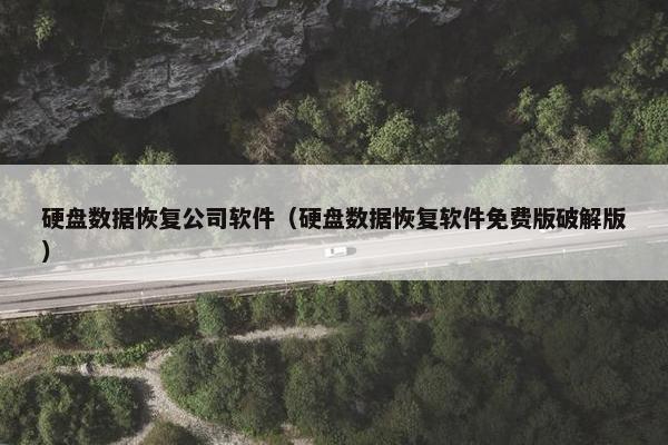 硬盘数据恢复公司软件（硬盘数据恢复软件免费版破解版）
