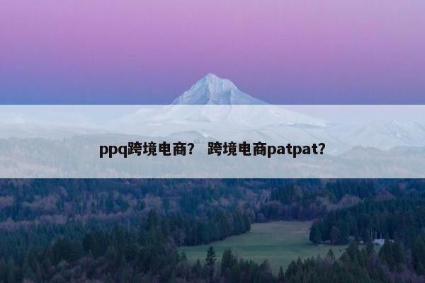 ppq跨境电商？ 跨境电商patpat？