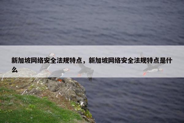 新加坡网络安全法规特点，新加坡网络安全法规特点是什么