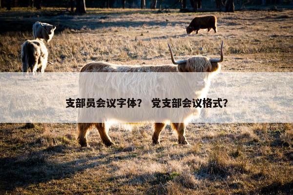 支部员会议字体？ 党支部会议格式？