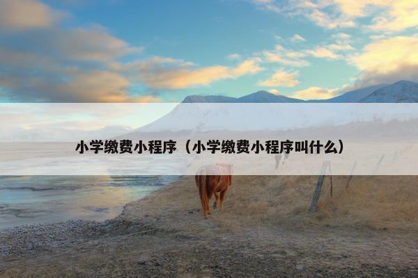 小学缴费小程序（小学缴费小程序叫什么）