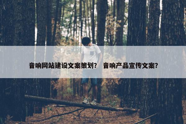 音响网站建设文案策划？ 音响产品宣传文案？