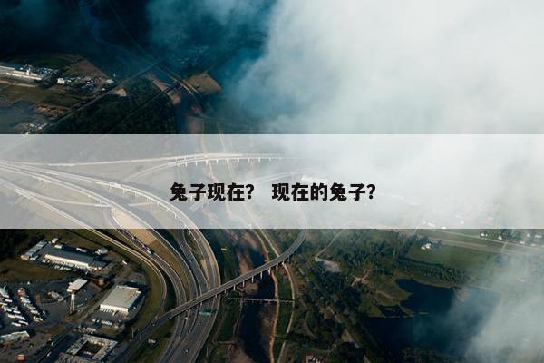 兔子现在？ 现在的兔子？