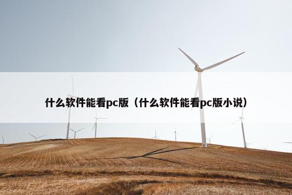 什么软件能看pc版（什么软件能看pc版小说）