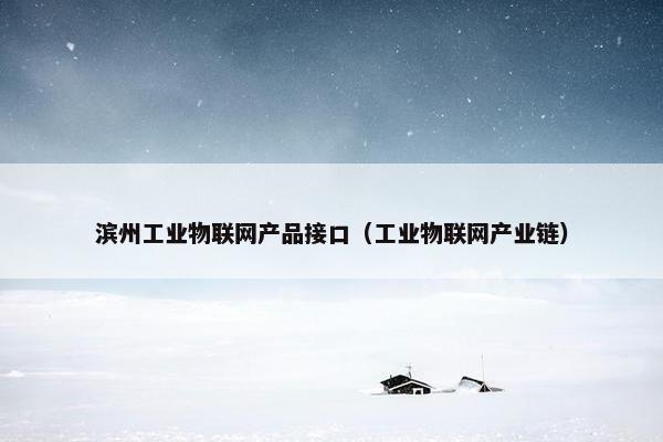 滨州工业物联网产品接口（工业物联网产业链）