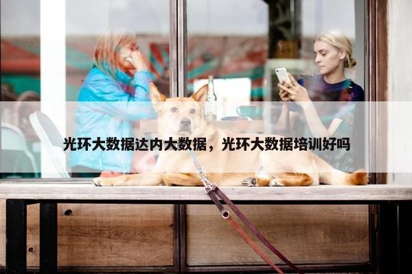 光环大数据达内大数据，光环大数据培训好吗