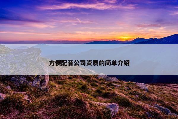 方便配音公司资质的简单介绍