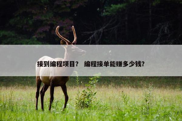 接到编程项目？ 编程接单能赚多少钱？