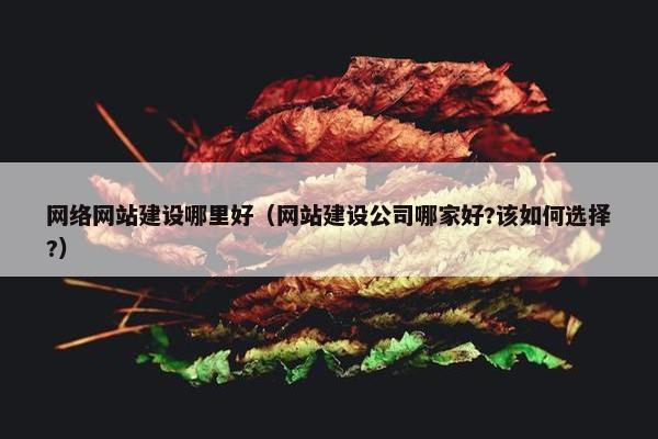 网络网站建设哪里好（网站建设公司哪家好?该如何选择?）