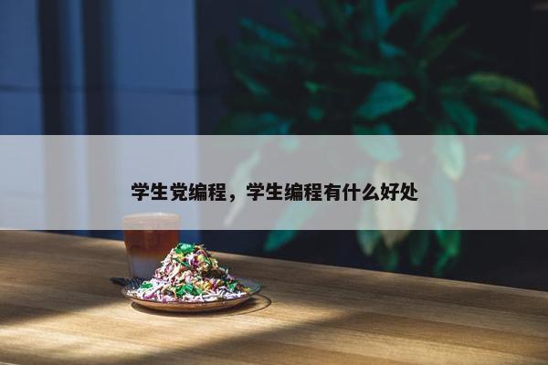 学生党编程，学生编程有什么好处