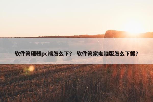 软件管理器pc端怎么下？ 软件管家电脑版怎么下载？