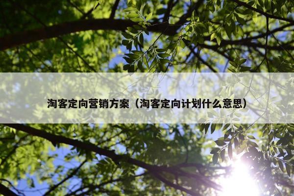 淘客定向营销方案（淘客定向计划什么意思）