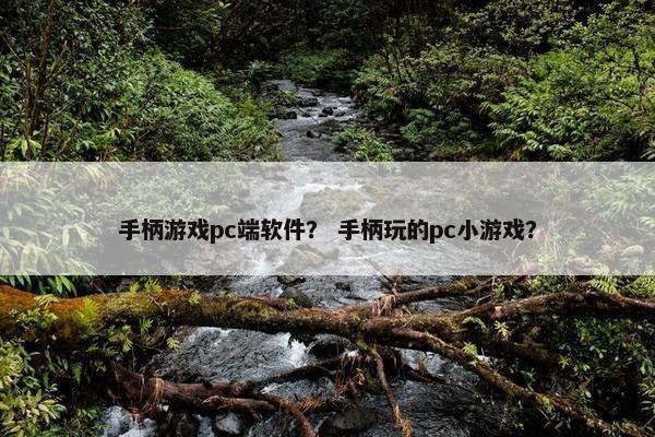 手柄游戏pc端软件？ 手柄玩的pc小游戏？