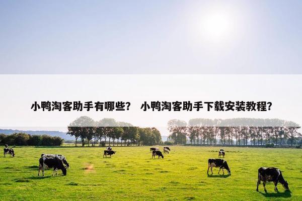小鸭淘客助手有哪些？ 小鸭淘客助手下载安装教程？