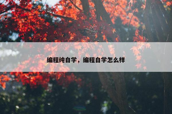 编程纯自学，编程自学怎么样