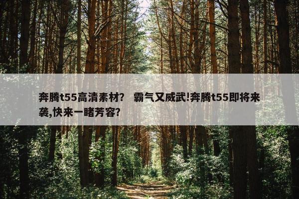 奔腾t55高清素材？ 霸气又威武!奔腾t55即将来袭,快来一睹芳容？