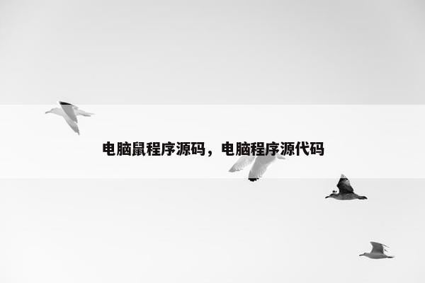 电脑鼠程序源码，电脑程序源代码