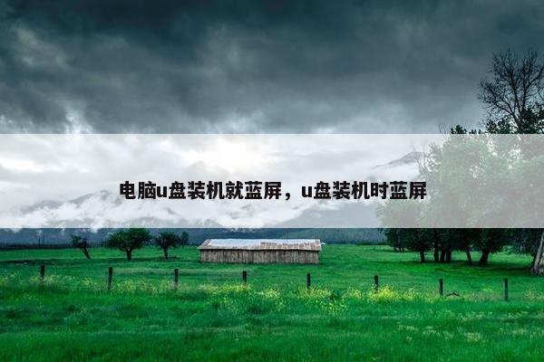 电脑u盘装机就蓝屏，u盘装机时蓝屏