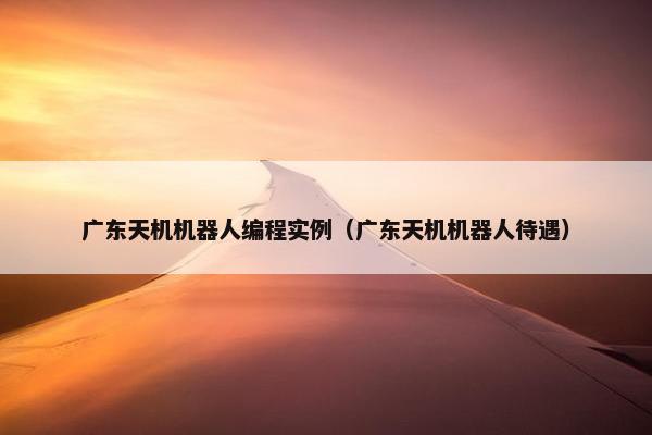 广东天机机器人编程实例（广东天机机器人待遇）