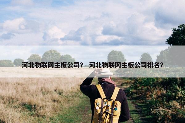 河北物联网主板公司？ 河北物联网主板公司排名？
