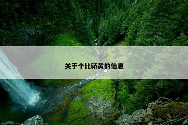 关于个比轿黄的信息