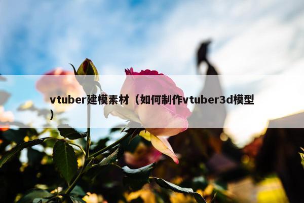 vtuber建模素材（如何制作vtuber3d模型）