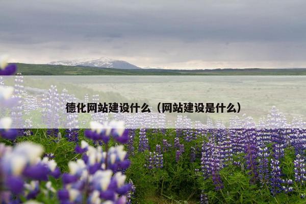 德化网站建设什么（网站建设是什么）