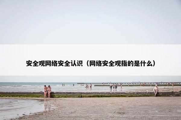 安全观网络安全认识（网络安全观指的是什么）