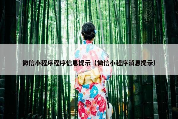 微信小程序程序信息提示（微信小程序消息提示）