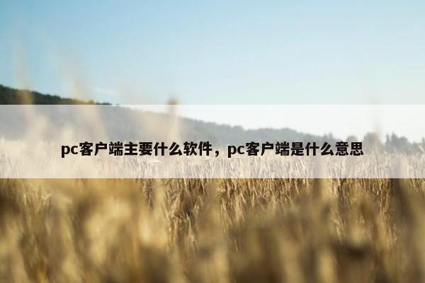 pc客户端主要什么软件，pc客户端是什么意思