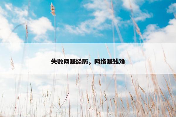 失败网赚经历，网络赚钱难