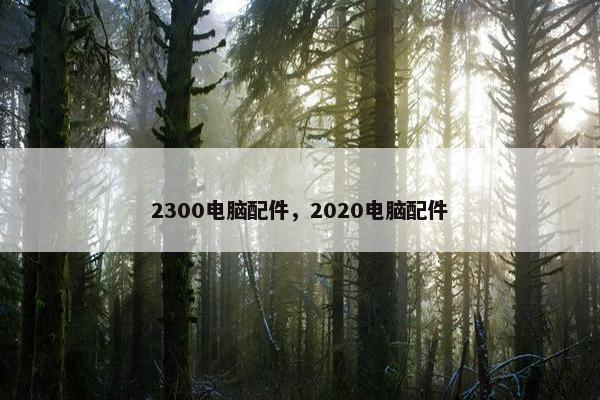 2300电脑配件，2020电脑配件