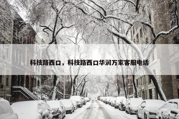 科技路西口，科技路西口华润万家客服电话