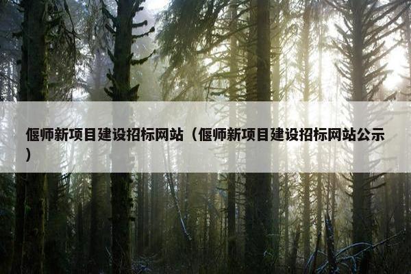 偃师新项目建设招标网站（偃师新项目建设招标网站公示）