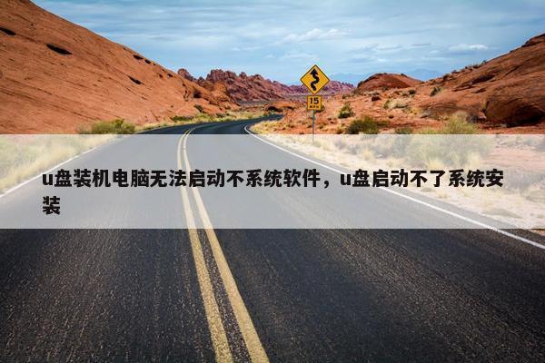 u盘装机电脑无法启动不系统软件，u盘启动不了系统安装