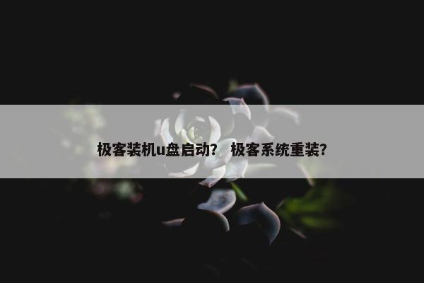极客装机u盘启动？ 极客系统重装？