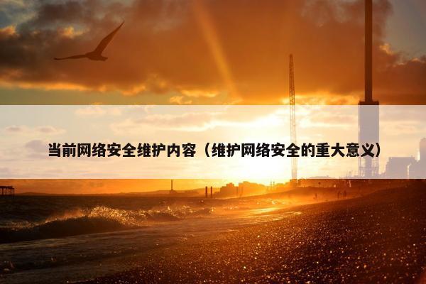 当前网络安全维护内容（维护网络安全的重大意义）