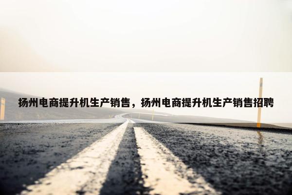 扬州电商提升机生产销售，扬州电商提升机生产销售招聘