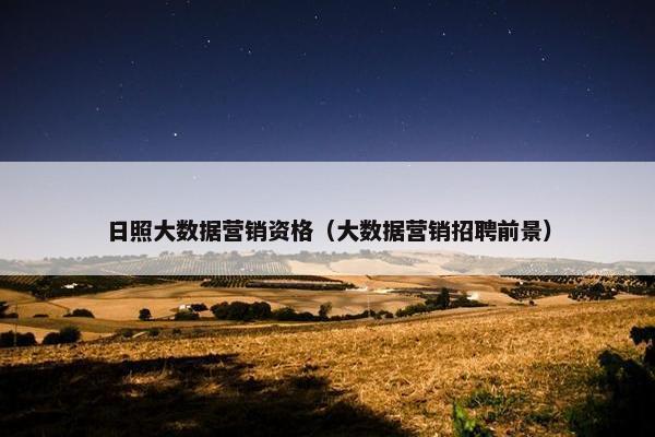 日照大数据营销资格（大数据营销招聘前景）