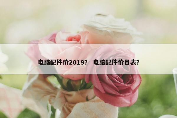 电脑配件价2019？ 电脑配件价目表？