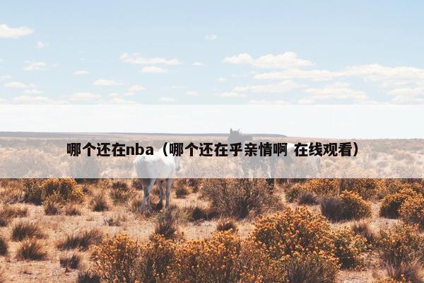 哪个还在nba（哪个还在乎亲情啊 在线观看）