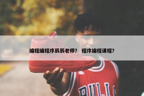 编程编程序辰辰老师？ 程序编程课程？