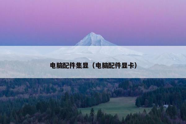 电脑配件集显（电脑配件显卡）