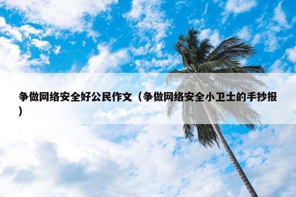 争做网络安全好公民作文（争做网络安全小卫士的手抄报）