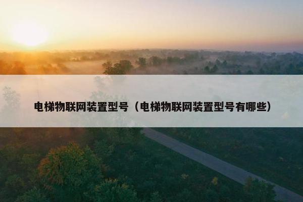 电梯物联网装置型号（电梯物联网装置型号有哪些）