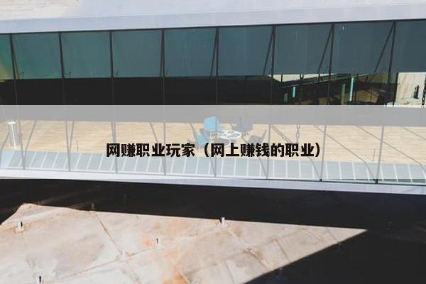 网赚职业玩家（网上赚钱的职业）